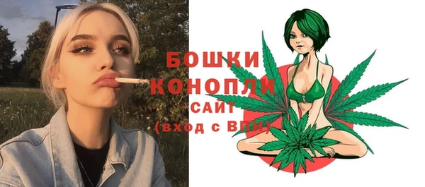 метадон Михайлов