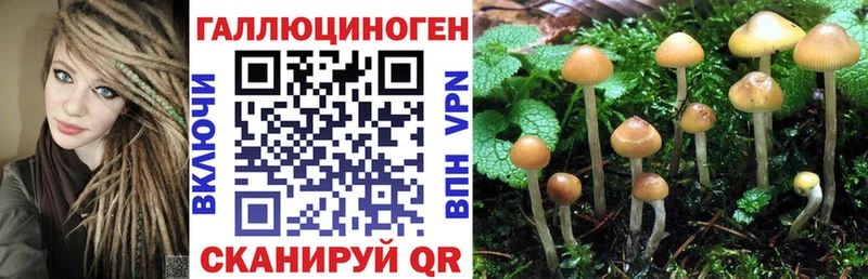 Галлюциногенные грибы MAGIC MUSHROOMS OMG зеркало Кедровый
